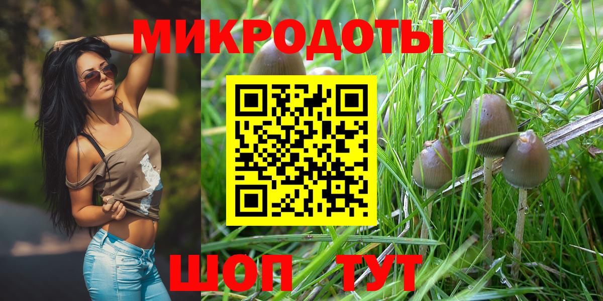 Псилоцибиновые грибы ЛСД Ростов-на-Дону